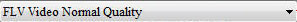 Step3:Convert RMVB to FLV