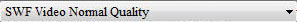Convert SVCD to SWF